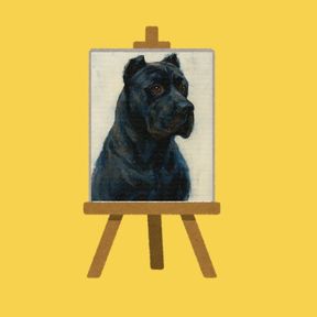 Perro canario: Arte y Vino