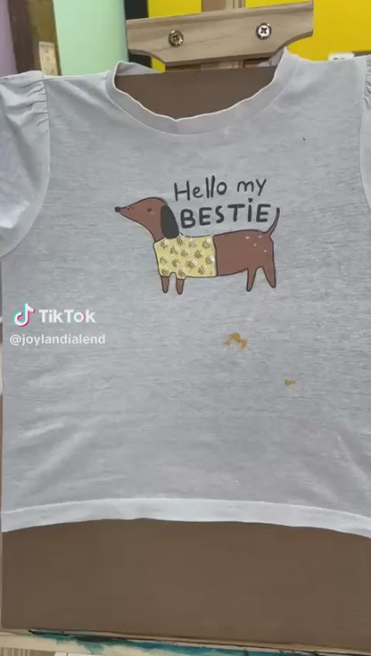 Pintura en camisetas